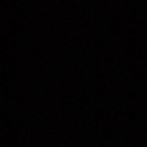 Meet your Posher, Brody